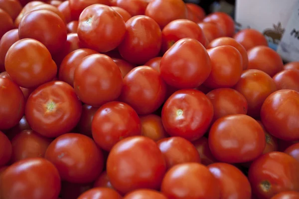 Parlak domates — Stok fotoğraf