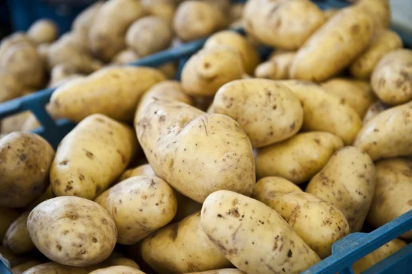 Vnější brambory — Stock fotografie