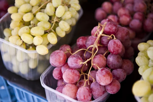 stock image Red Grapes Container