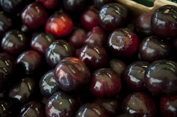 Ripe Cherries — Stock Photo, Image