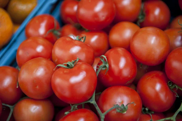 Rijpe tomaten reflectie — Stockfoto