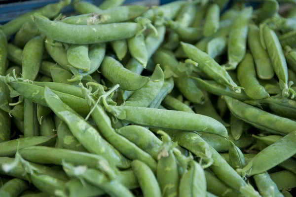 Stock image Snap Peas