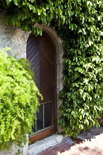 茶色のドアの葉 — ストック写真