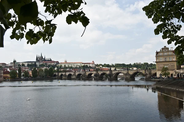 Česká most — Stock fotografie