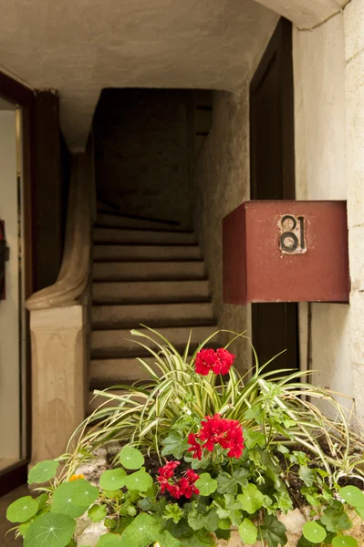 Escalier de fleurs — Photo