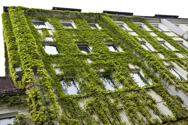 Groen gebouw — Stockfoto