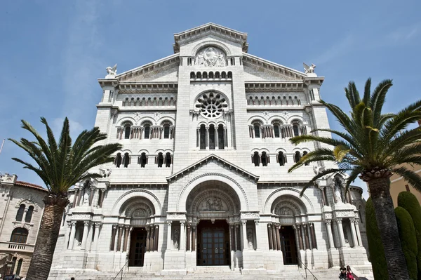摩纳哥大教堂的棕榈树 — 图库照片