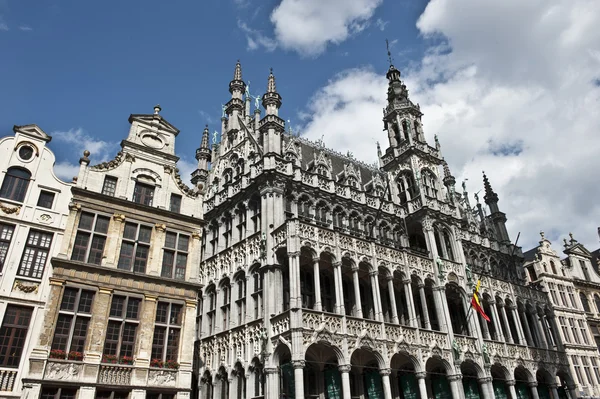 Side Front Brussels Mansion — Stok fotoğraf
