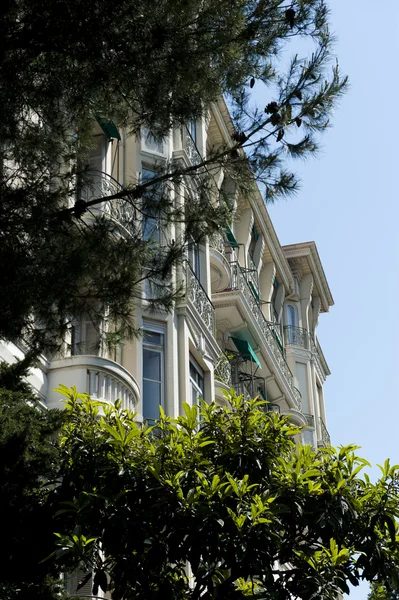 Ağaç Fransız Apartments kapsar — Stok fotoğraf