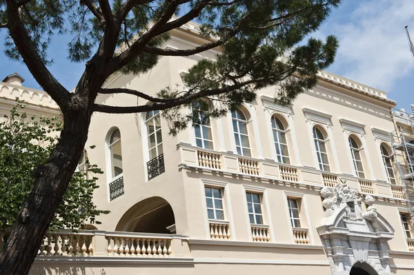 Monaco Prens Sarayı üst Telifsiz Stok Imajlar