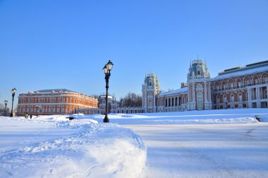 Kışın, Moskova (Rusya tsaritsyno park sarayda tuğla)