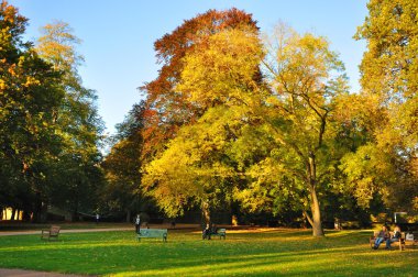 Autumn at the Stadtschloss park in Fulda, Hessen, Germany clipart