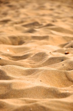 Zandvoort (Kuzey Denizi Hollanda'da sahilde kum)