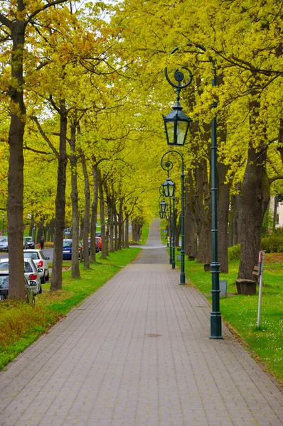 El callejón con árboles y faroles (lámparas) en el parque cerca de Men M — Foto de Stock