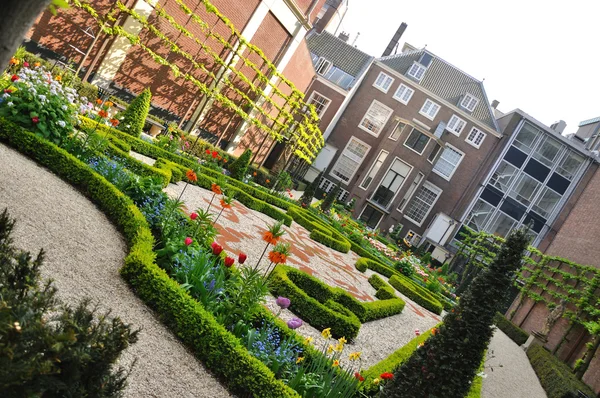 stock image Small beautiful garden with bushes and flowers in Amsterdam, Hol