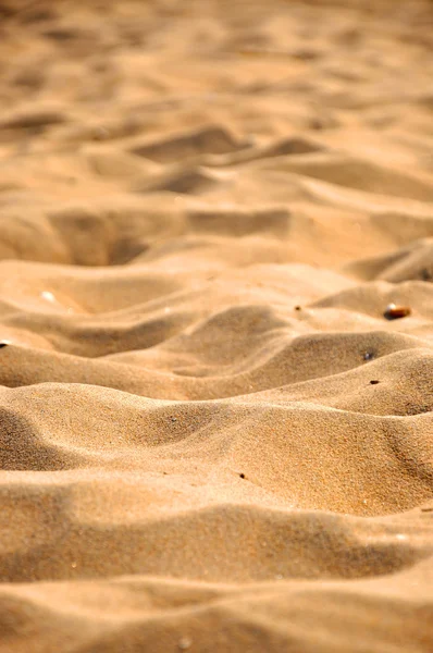 Homok a strandon a Zandvoort (Északi-tenger Hollandiában) — Stock Fotó