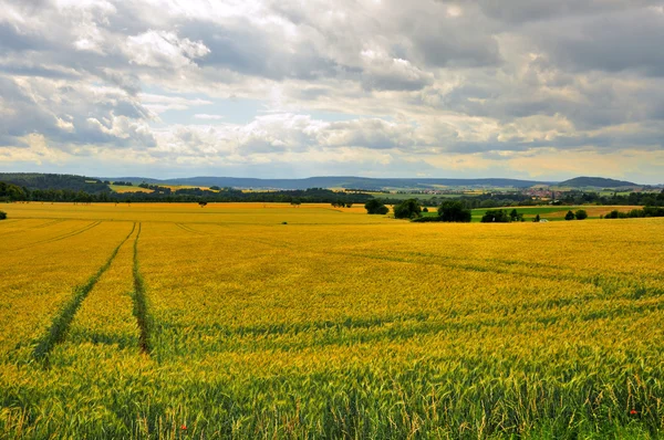 Prachtige landschap (velden) in de buurt van schloss fasanarie in fulda, hij — Stockfoto