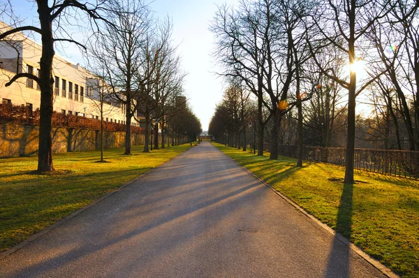 Schaduw steegje in het vroege voorjaar in stadtschloss park in fulda, hess — Stockfoto