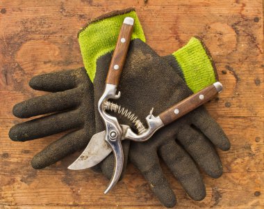 Gardening Clippers and Gloves clipart