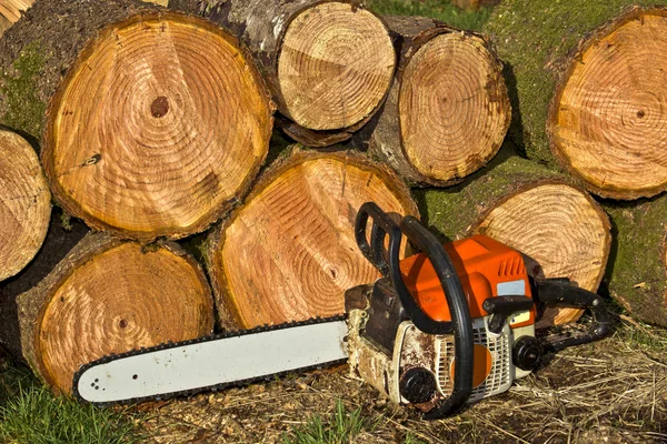 ahşap kazık tarafından Chainsaw