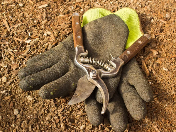 Nożyce ogrodnicze i rękawice — Zdjęcie stockowe
