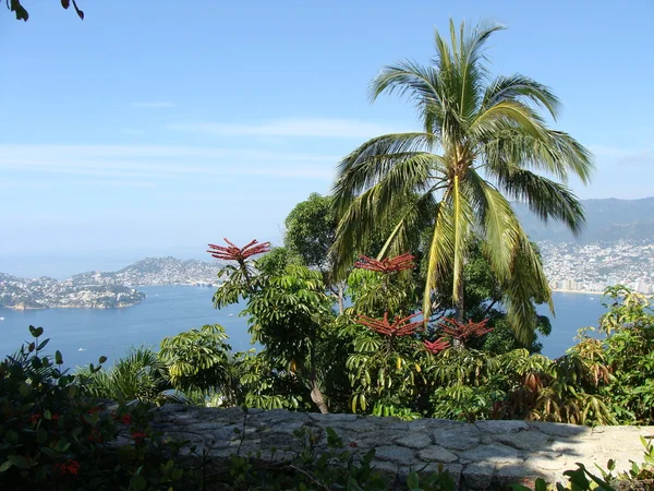 Acapulco bay — Stock Photo, Image