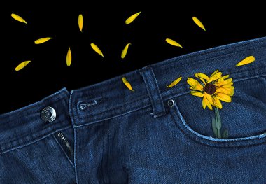 Blue Jeans And Calendula clipart