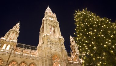 Viyana - christmastree Belediye Binası için