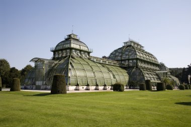 Viyana - camdan evde schonbrunn Botanik Bahçesi