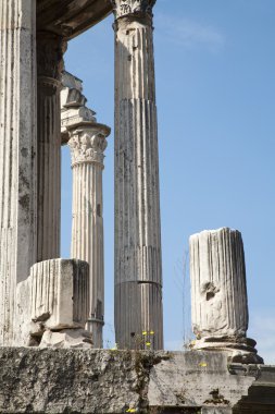 Roma - Forum Romanum sütunları