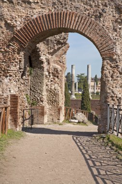 Roma - kapıdan palatine tepesi