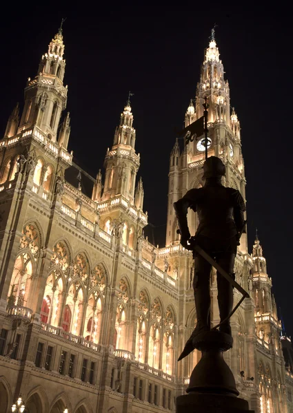 Silueta de caballero en el ayuntamiento de Viena — Foto de Stock