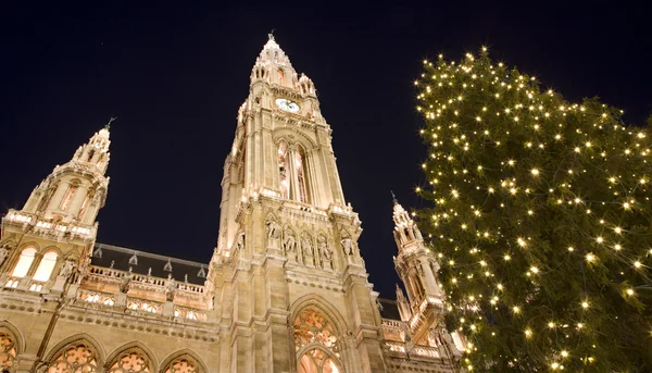 Wenen - kerstboom voor stadhuis — Stockfoto
