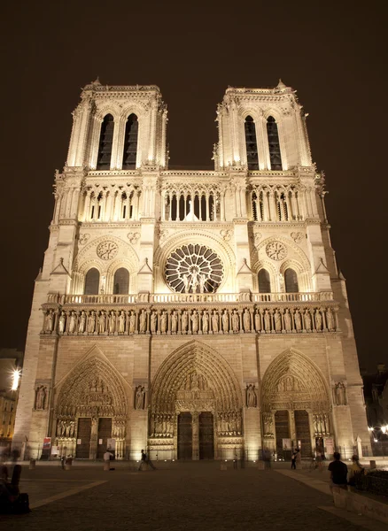 Париж - собор Нотр-Дам в ніч — стокове фото