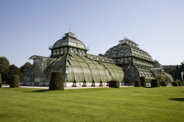 Wien - Glass house i Schonbrunn botaniska trädgård — Stockfoto