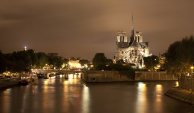 Paris - Seine and Notre Dame cathedral at night clipart