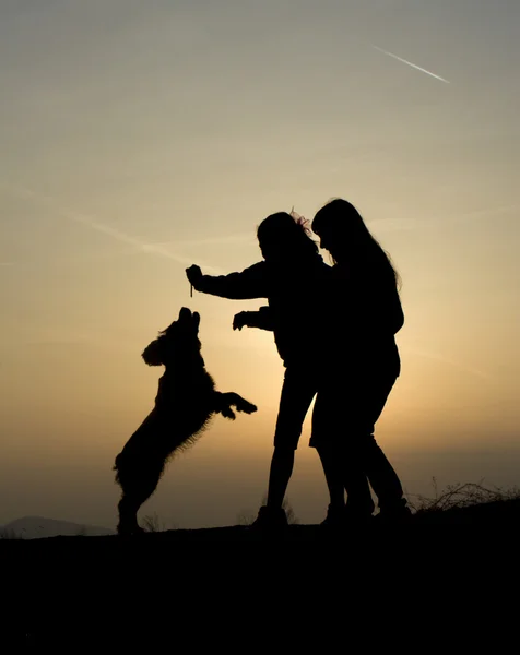 Play with the dog in sunset — Stock Photo, Image