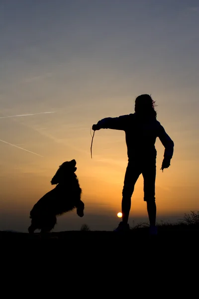 日没で、犬と遊ぶ — ストック写真