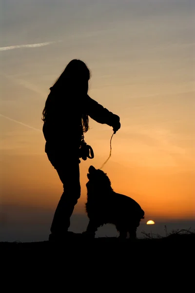Játszani a kutyával, naplemente — Stock Fotó