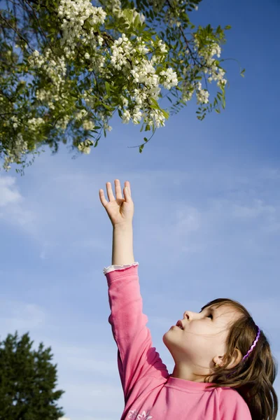 Стрибок маленької дівчинки і дерева навесні — стокове фото