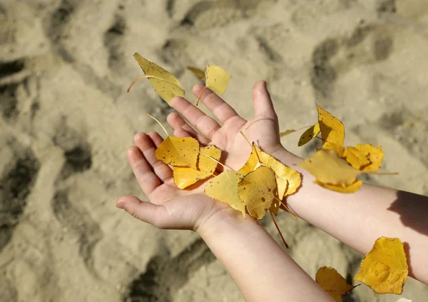 Ręce mały dziewczyna i jesienią liście — Zdjęcie stockowe