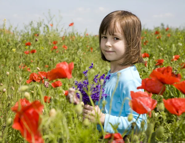 Little girl and corn roses — Stock Photo, Image