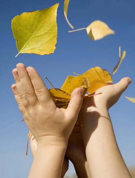 Manos de niños y hojas de otoño y cielo —  Fotos de Stock