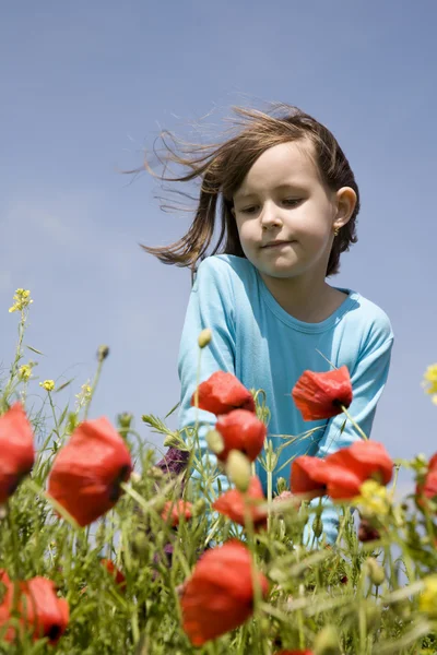 Маленька дівчинка і кукурудзяні троянди — стокове фото