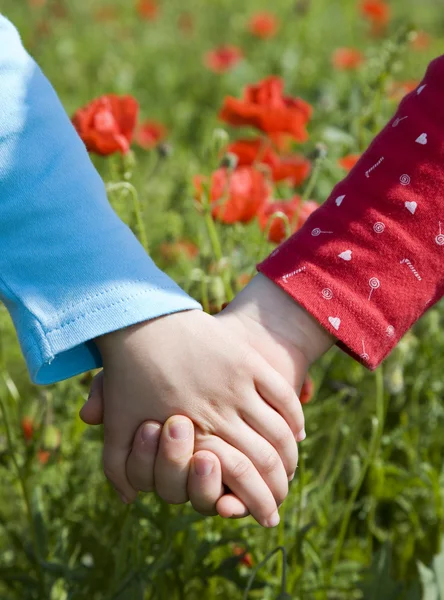 Hands of childre and the meadow — Stock Photo, Image