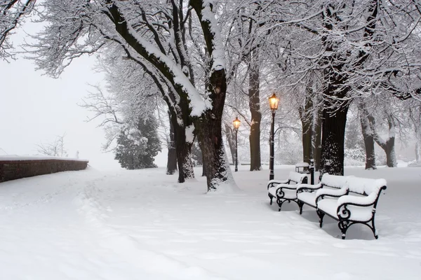 Park w zimie - rano — Zdjęcie stockowe