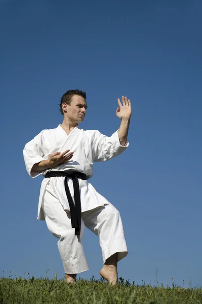 Karate träning i kimono - kata — Stockfoto