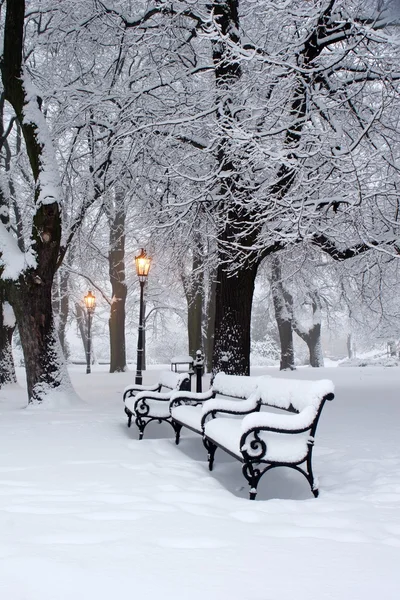 Morning in winter park - bratislava — Stock Photo, Image