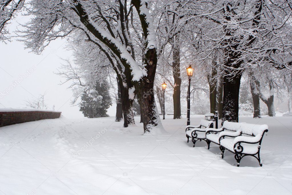 Park in winter - morning