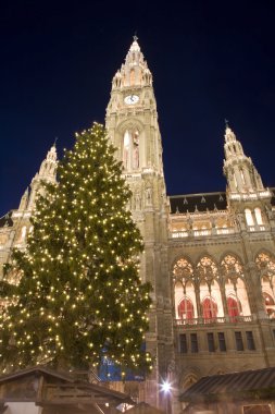 Vienna - christmastree for town-hall clipart